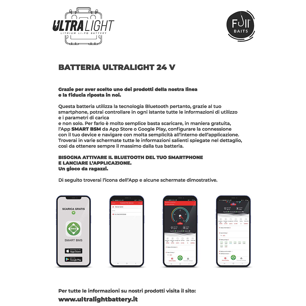 Batteria lifepo4 24 v 100 ah bluetooth